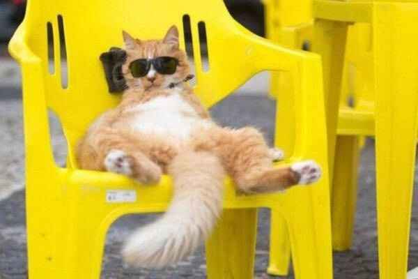 Monday Crankypants Party