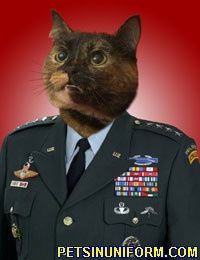 Looking for Advice on FMIL