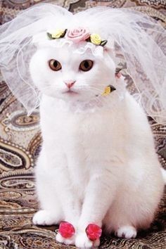 Before you were engaged?