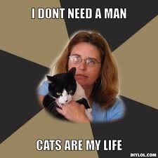 NWR:  cat meme time!