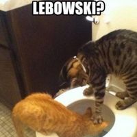 Want to have a wedding but can't afford it