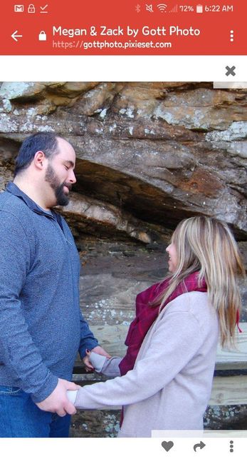 Engagement photos! - 1