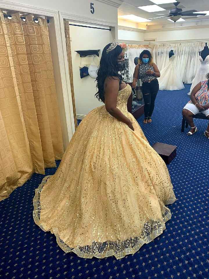 i Picked Up My Dress, But... - 1