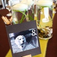 what are your colors and what season are/did you get married in?