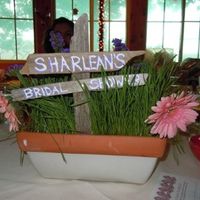Bridal/Wedding Shower