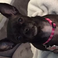 Nwr- show me your fur babies