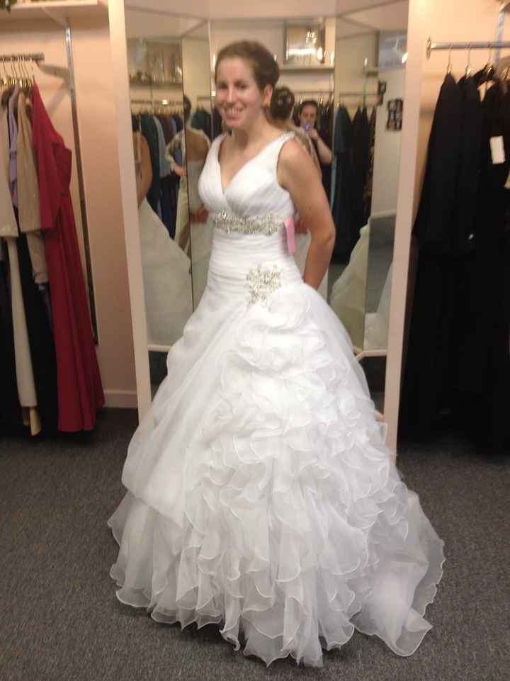 Anyone have there wedding dress picked out? Pics?