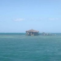 Negril or Montego Bay?!