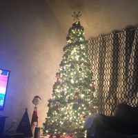 NWR-show me your Xmas trees
