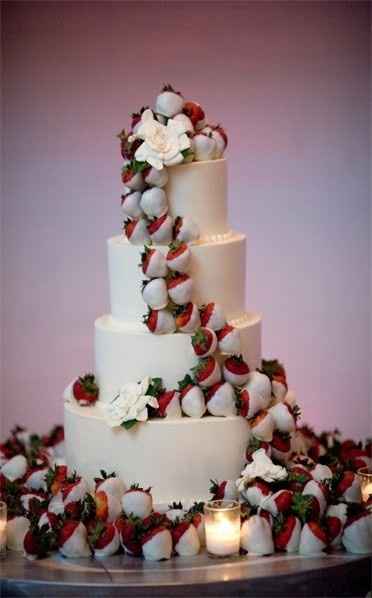 Cake vs Cupcakes
