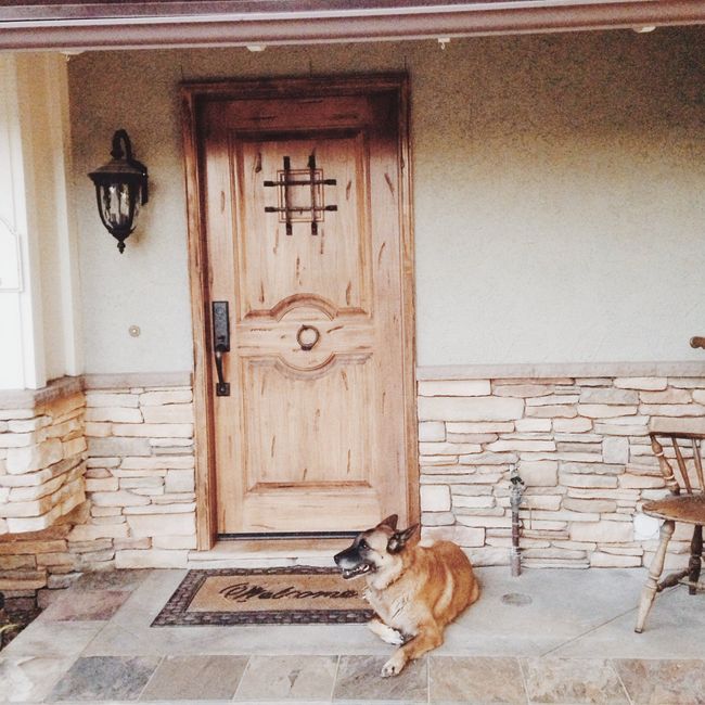 FUR BABIES!