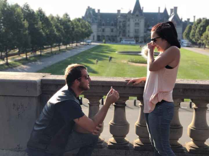 How did your partner propose? - 1