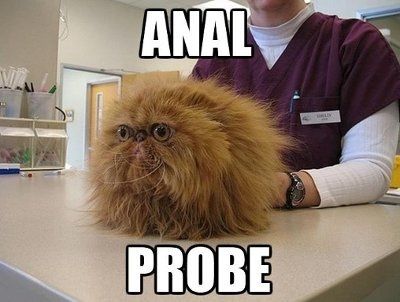 It's funny photo time!