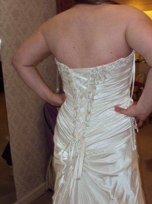 My Dress is in!-Update with pictures