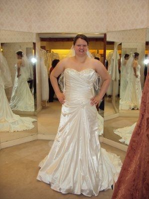 My Dress is in!-Update with pictures