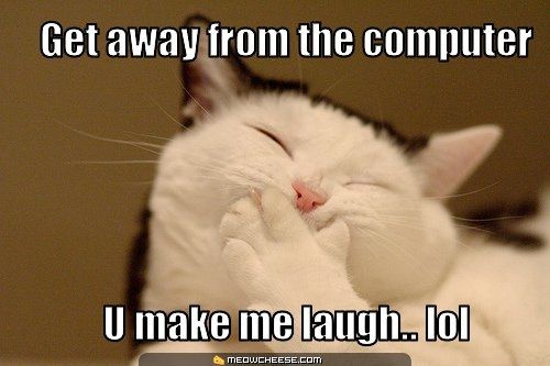 LOL pets!!! Cats and Dogs welcome!