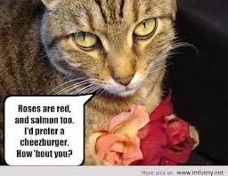 NWR: Favorite meme?