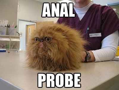 It's funny photo time!