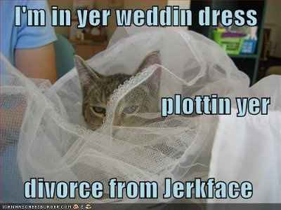stressed and need a laugh, SHARE THOSE FUNNY PICTURES!!!