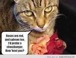 NWR: Favorite meme?