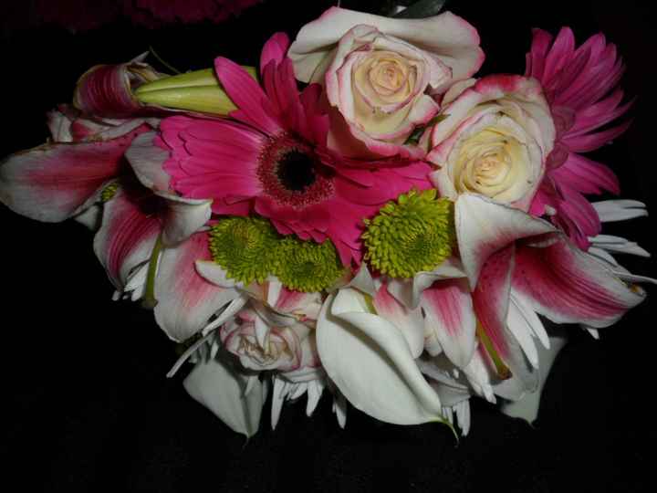Gerberas