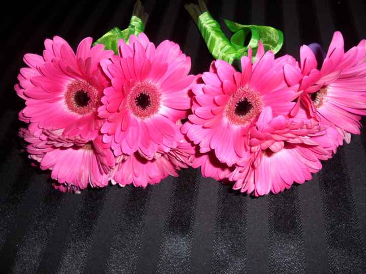 Gerberas
