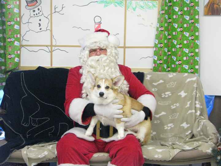 NWR: Pet Post