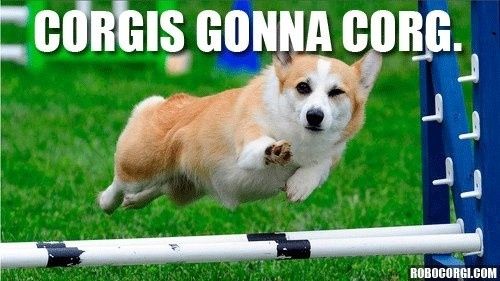 NWR: Just some laughs to get through the middle of the week!