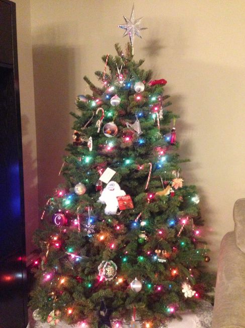 NWR- Let's see your Christmas tree!