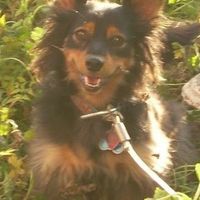 NWR For Fun. Furry Friends!