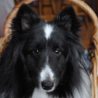 NWR For Fun. Furry Friends!