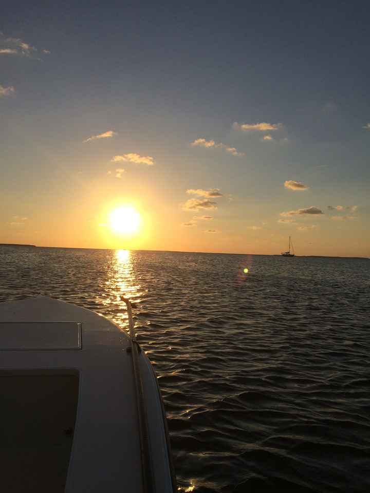 Feel-Good Moment of the Week