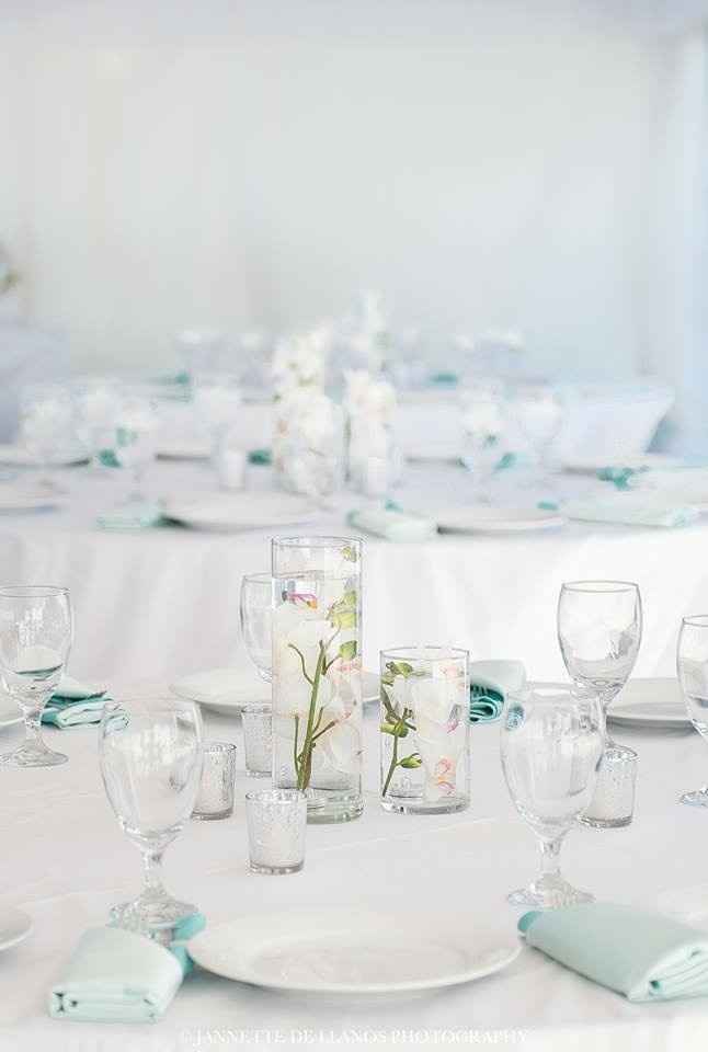 We got some more PRO PICS over the weekend! (BAM-ish)