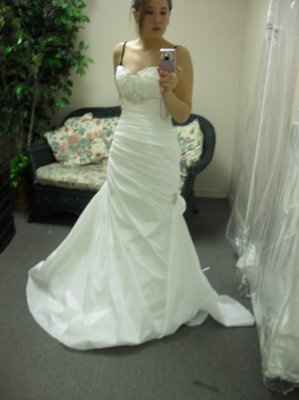 Looked at Dresses Today.....PICS PICS