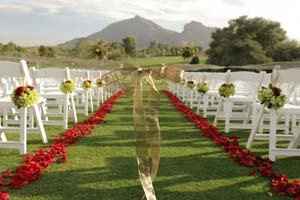 How Many Rose Petals????? Advice PLZ (PICS)