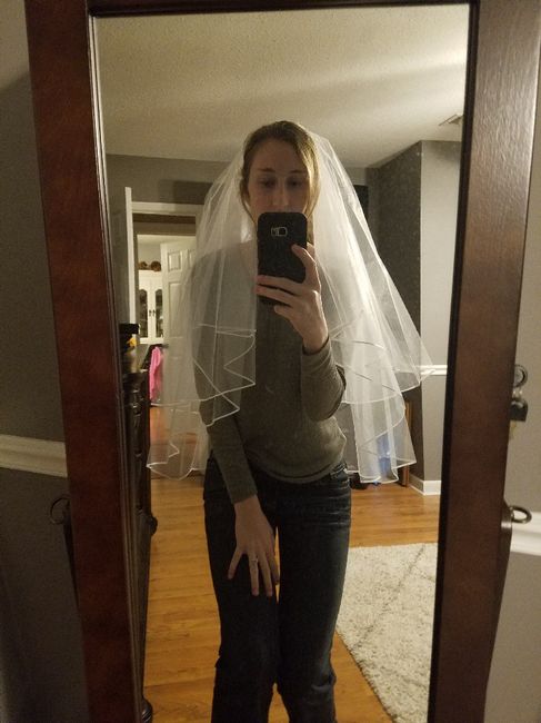 Need help picking a veil - 1