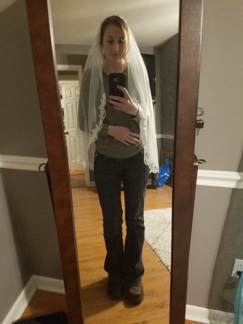 Need help picking a veil - 2