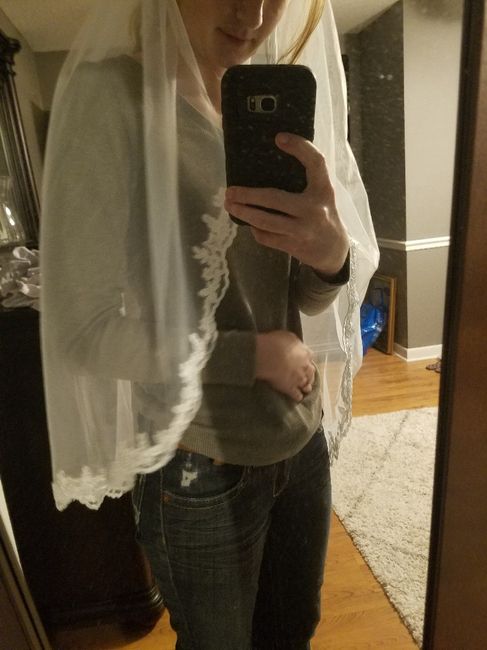 Need help picking a veil - 3
