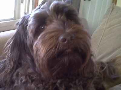 NWR: Show off your fur baby!