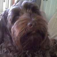 NWR: Show off your fur baby!