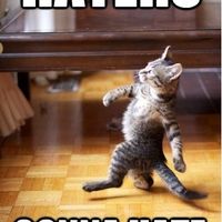 I mean... WHO DOESN'T LIKE CATS?!?!