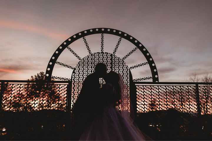 Pro photo sneak peek! 11/7/21 - 15