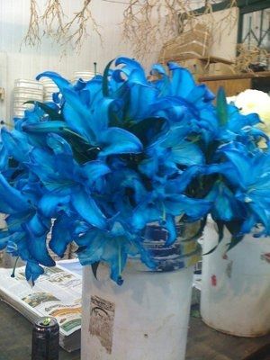 Flowers ...............