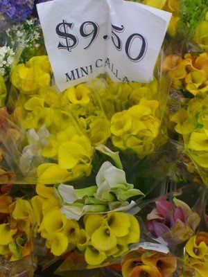 Flowers ...............