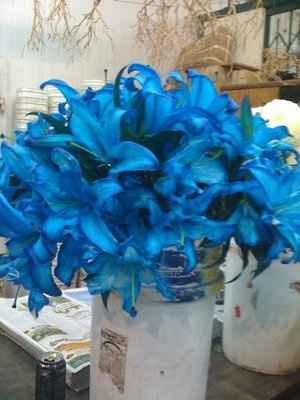 Flowers ...............