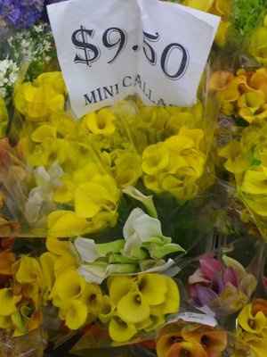 Flowers ...............