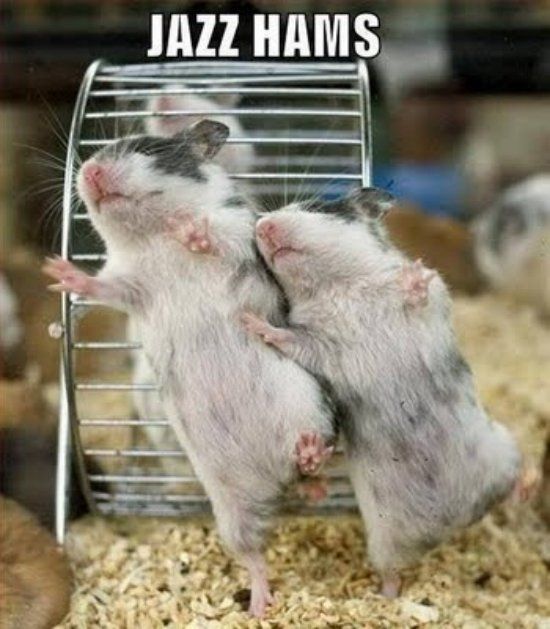 It's Friday!!  Let's be animals!