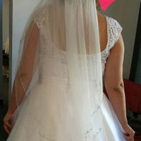 Veil advice