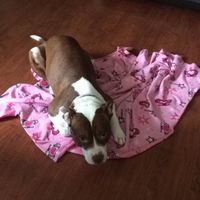 NWR: Show me your pups!