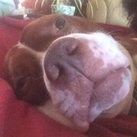 NWR: make a girl laugh